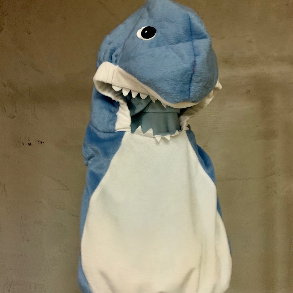 Kids costume